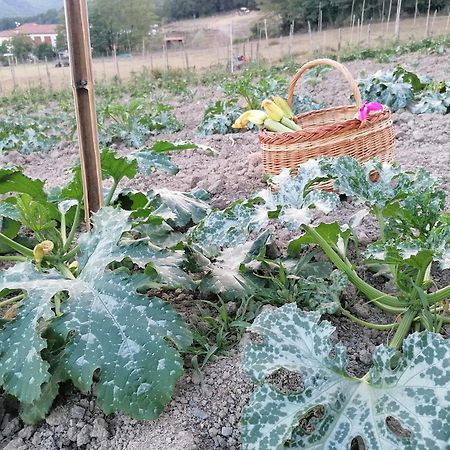 Willa Agriturismo Dei Legi San Pietro Vara Zewnętrze zdjęcie