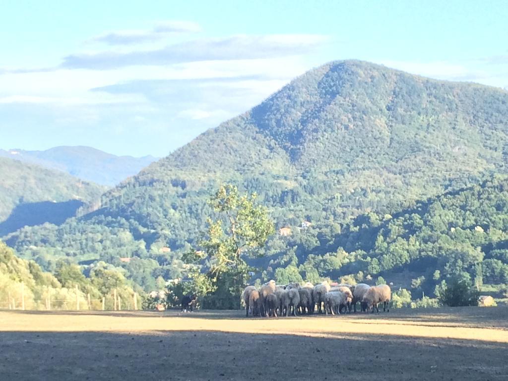 Willa Agriturismo Dei Legi San Pietro Vara Zewnętrze zdjęcie