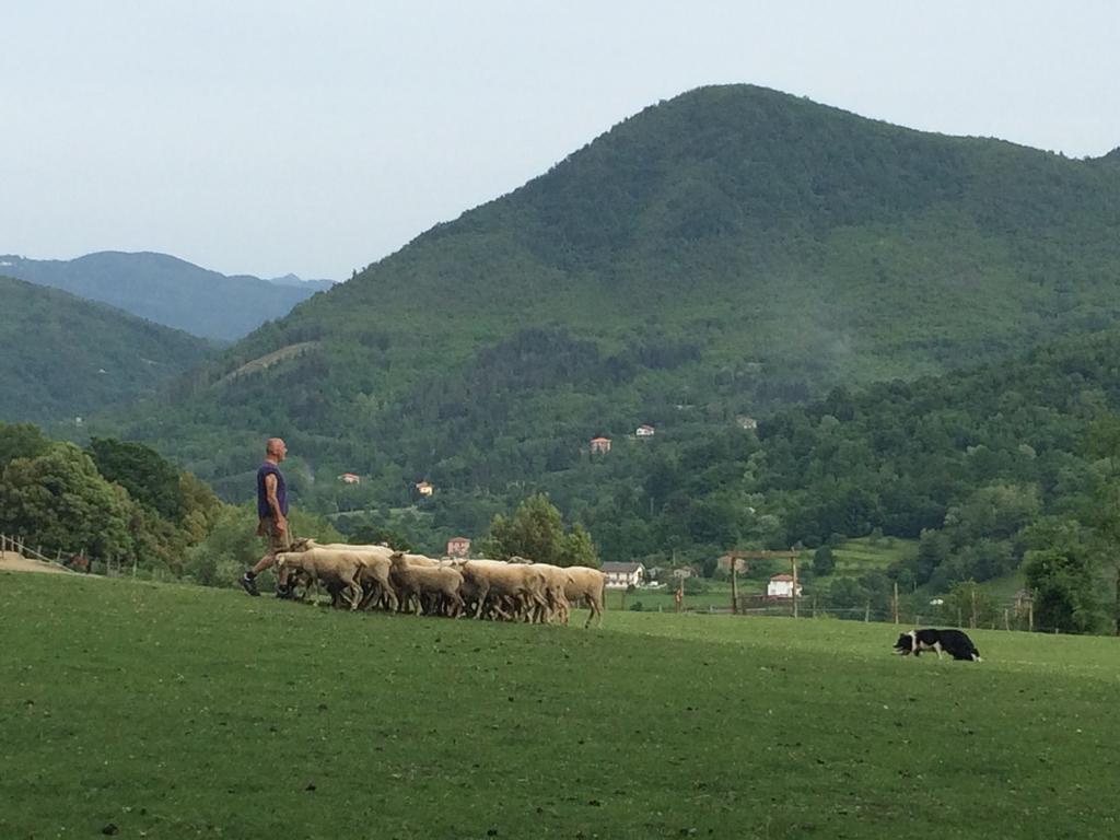 Willa Agriturismo Dei Legi San Pietro Vara Zewnętrze zdjęcie