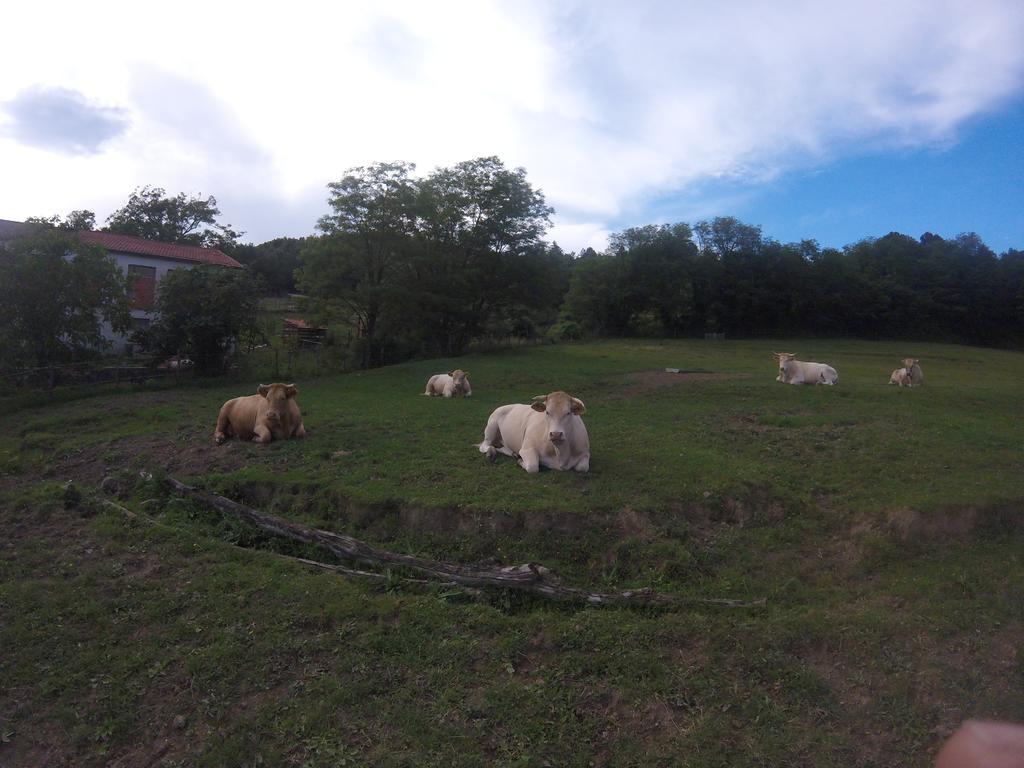 Willa Agriturismo Dei Legi San Pietro Vara Zewnętrze zdjęcie