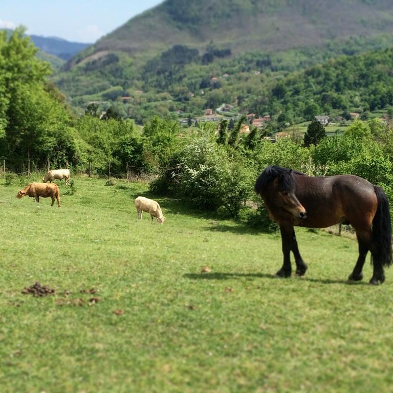 Willa Agriturismo Dei Legi San Pietro Vara Zewnętrze zdjęcie