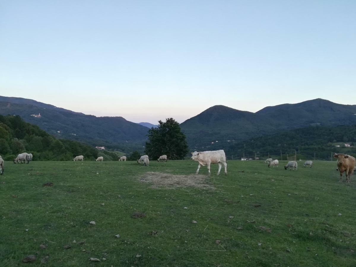 Willa Agriturismo Dei Legi San Pietro Vara Zewnętrze zdjęcie