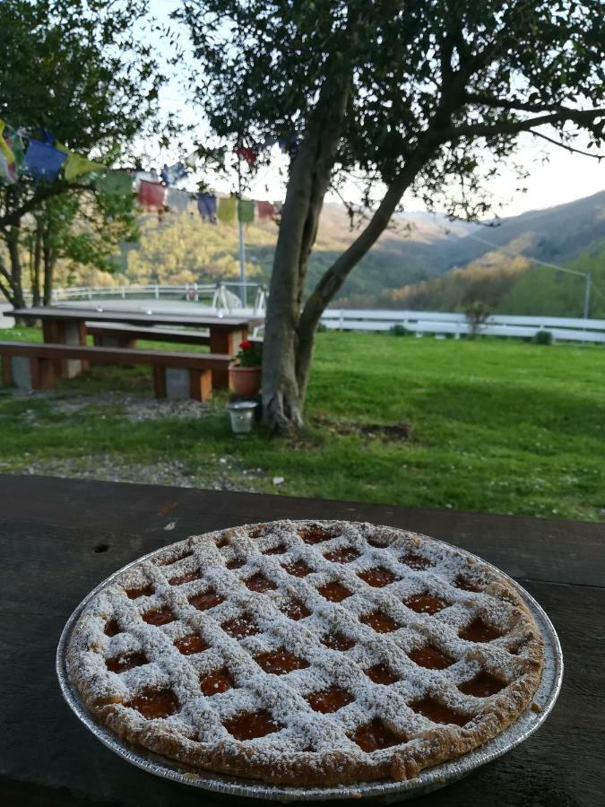 Willa Agriturismo Dei Legi San Pietro Vara Zewnętrze zdjęcie